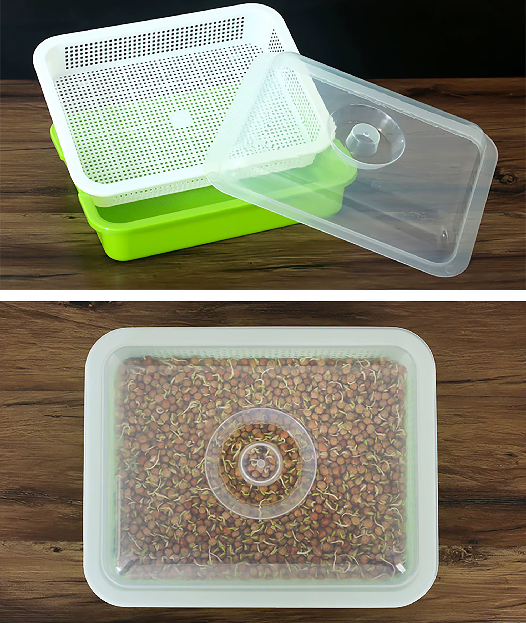 1 ensemble plat de germination Pot de culture hydroponique semis de légumes haricots Pot