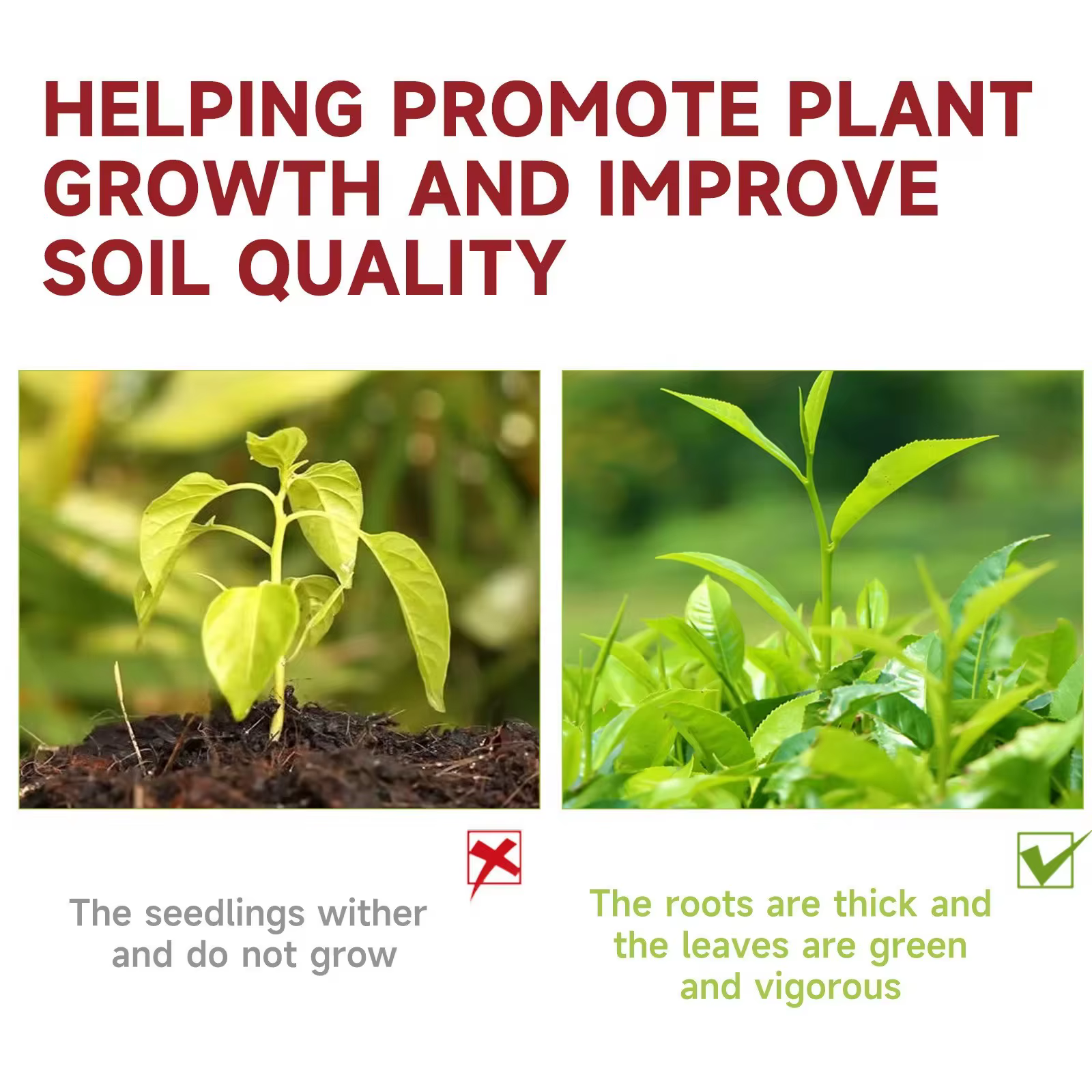 Solution de culture de plantes