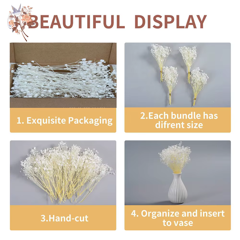 Mini-bouquet de 50 petites fleurs séchées de gypsophile blanches en vrac pour décoration rustique de maison