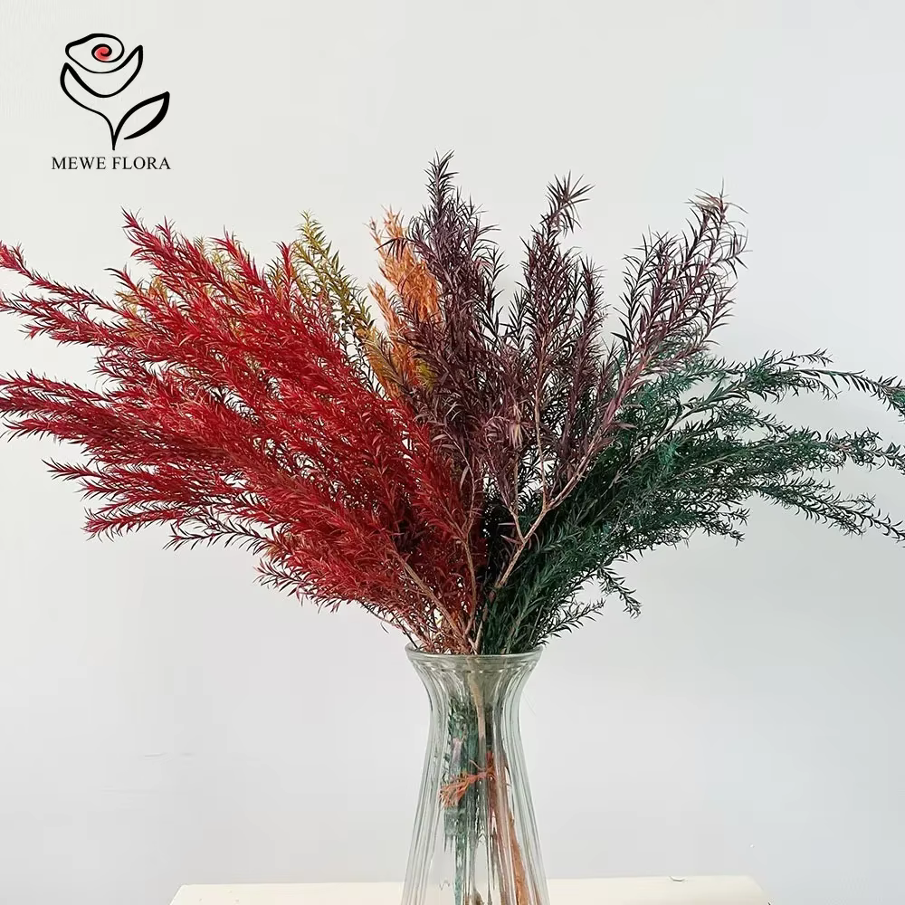 Bouquets de Fleurs vaccées Naturelles pour Décoration de Maison