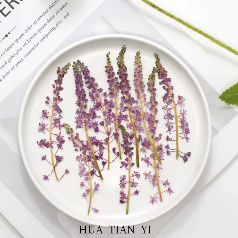 Fleur de Jujube en coton sauvage naturel