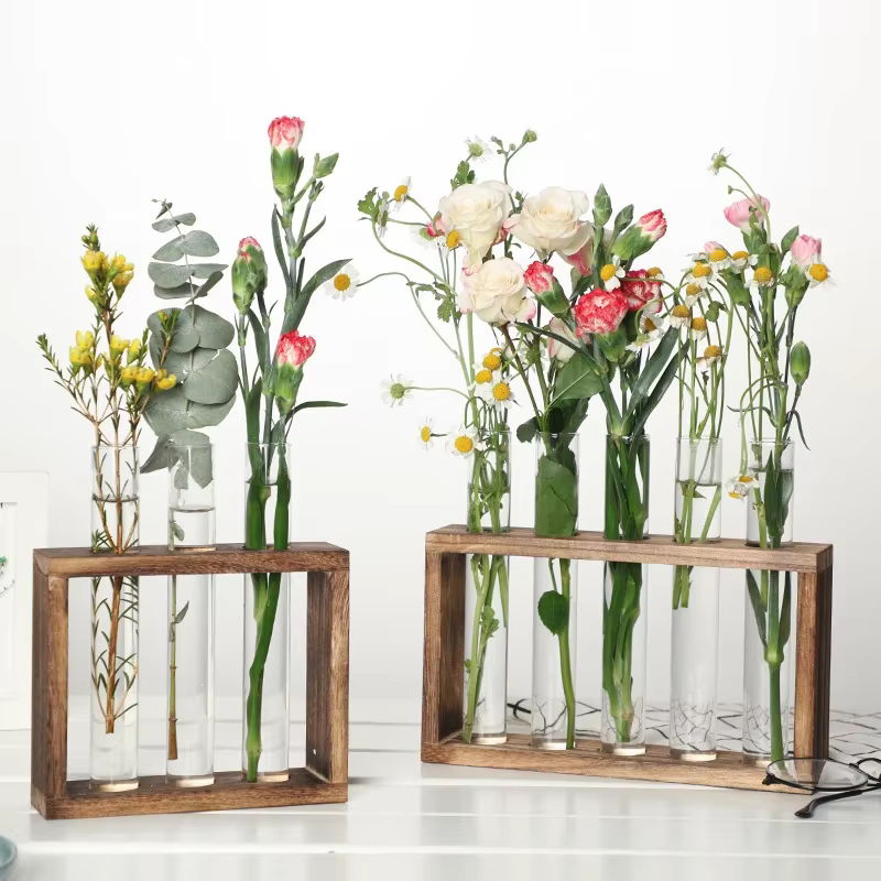 Vase hydroponique pour Tube à essai de plantes