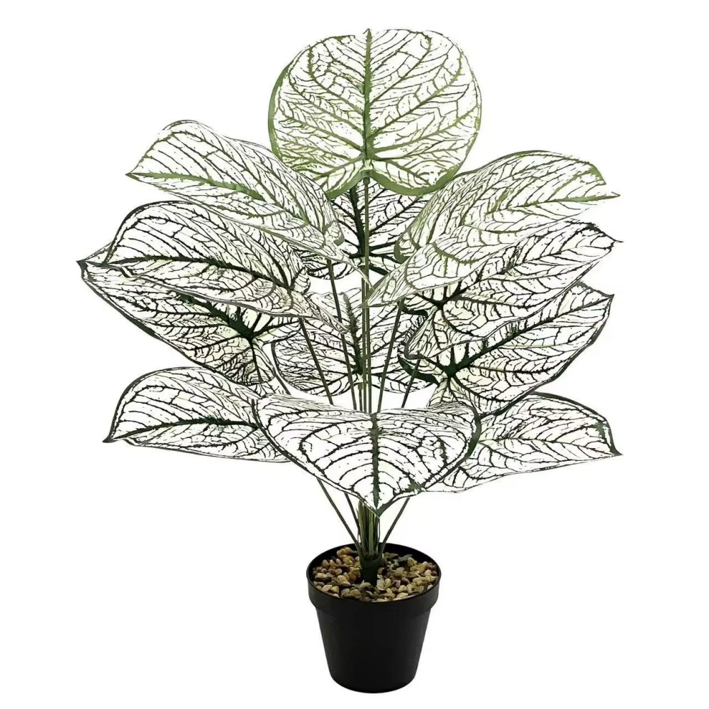 Plantes artificielles, feuille blanche et verte