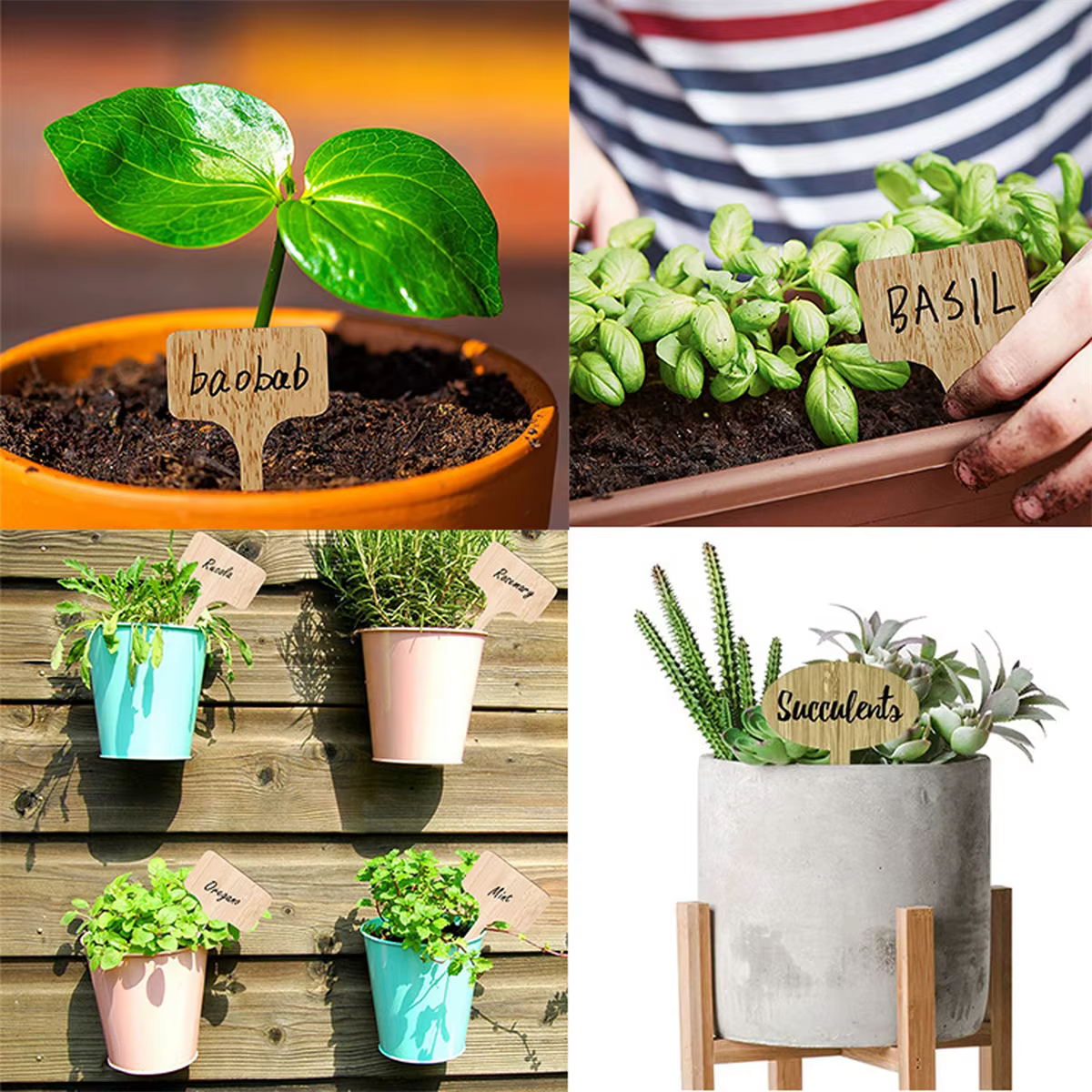 Étiquettes de plantes en bois, marqueurs de jardin multi-type en bambou, graines de bonsaï, fleur en pot, outil pour plantes succulentes, 5/50 pièces