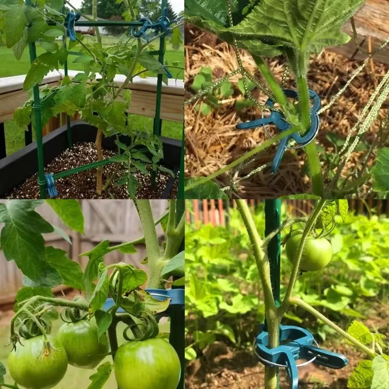 Clips fixes pour plantes réutilisables