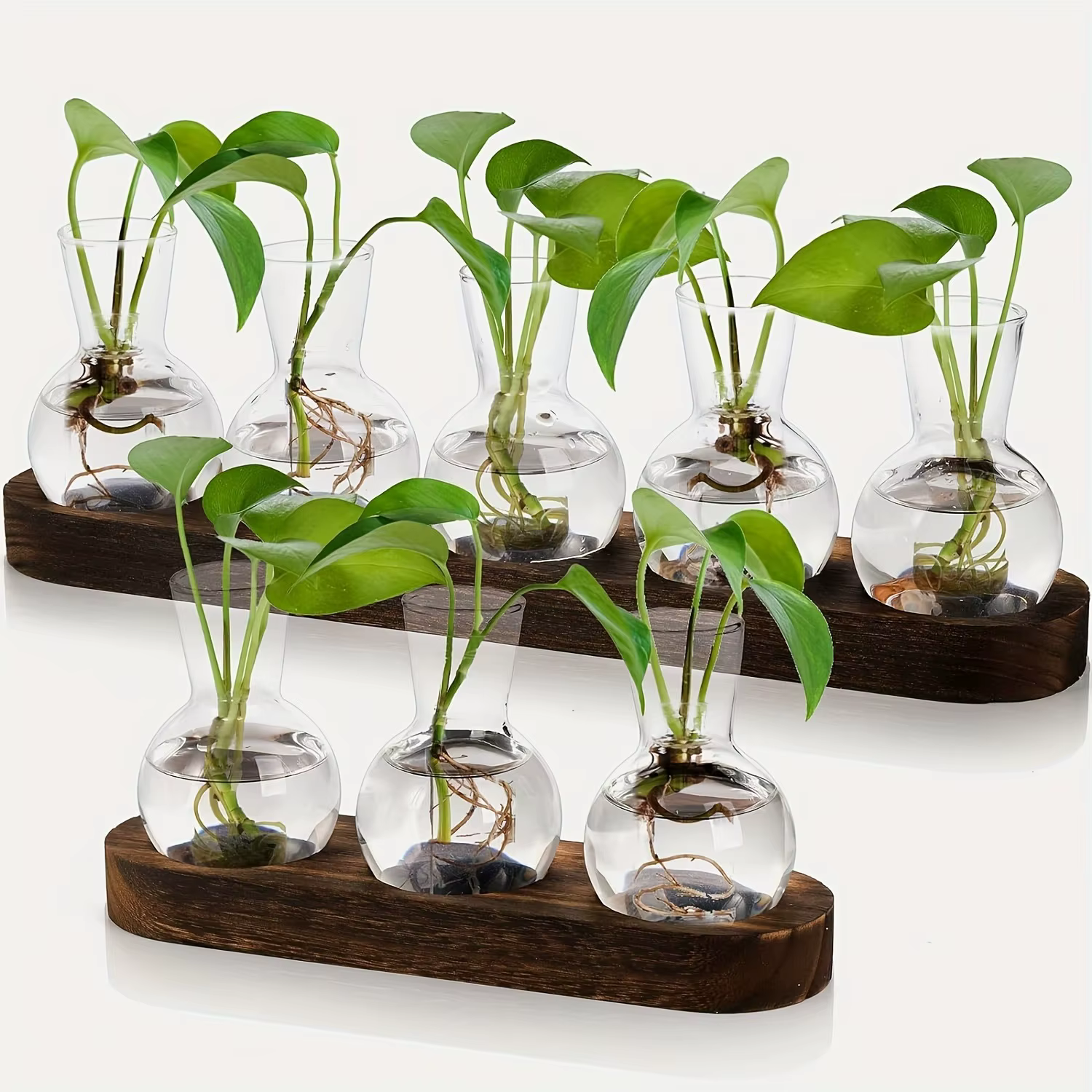 Terrarium en verre pour plantes avec plateau en bois – Pour vase hydroponique d'épandation intérieure