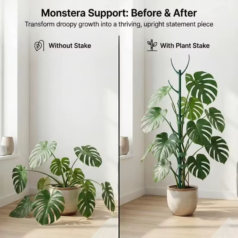 6 piquets de support pour plantes Monstera avec attaches – Conception de treillis empilable