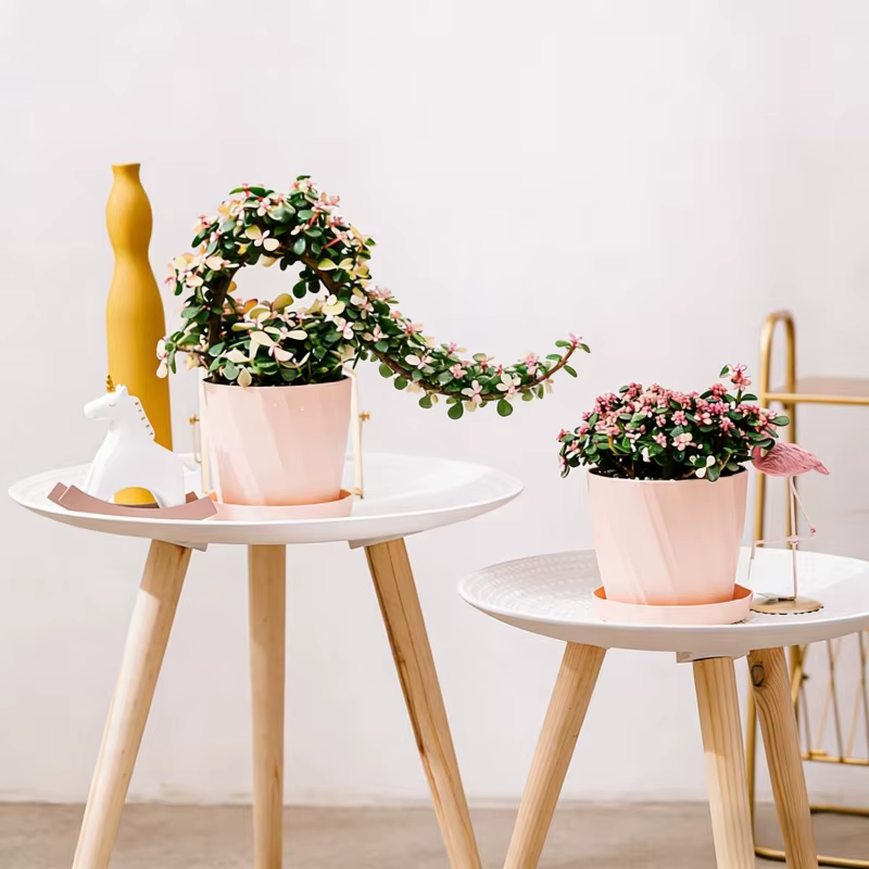Pot de fleurs en résine plastique épaissie incassable