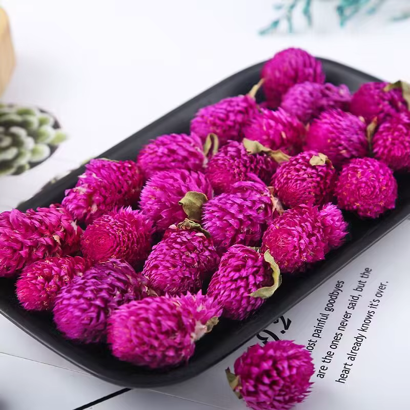 Fleurs d'amarante globe séchées naturelles de qualité supérieure pour la décoration de la maison et du jardin