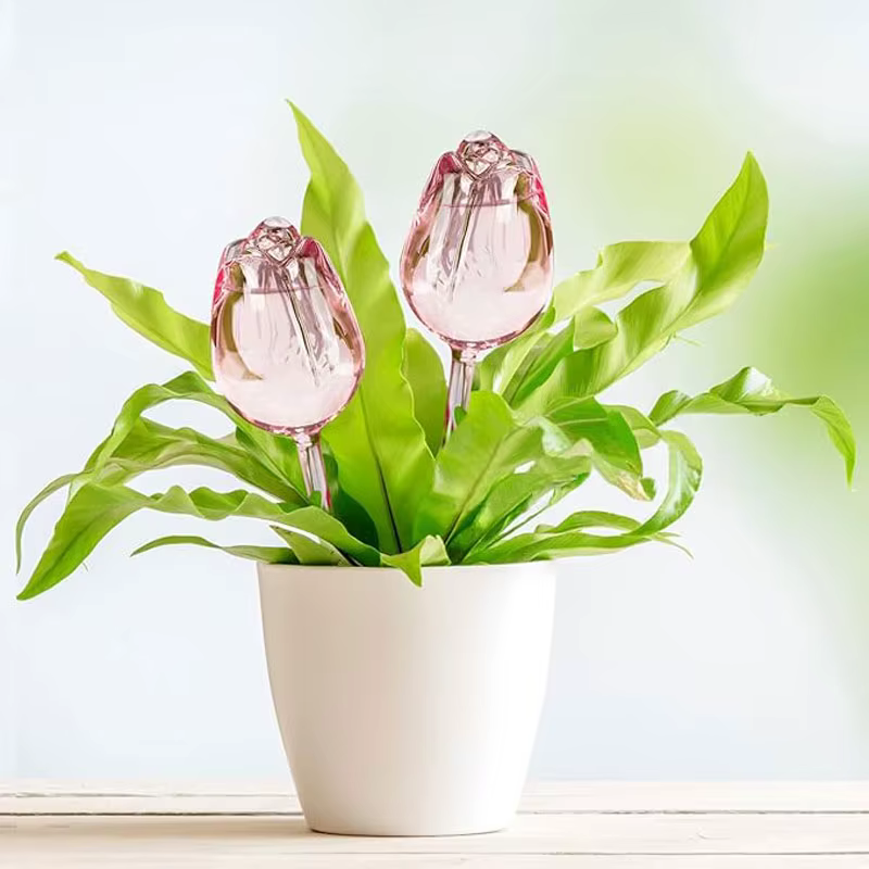 Dispositif d'arrosage créatif pour plantes de jardin Tulip
