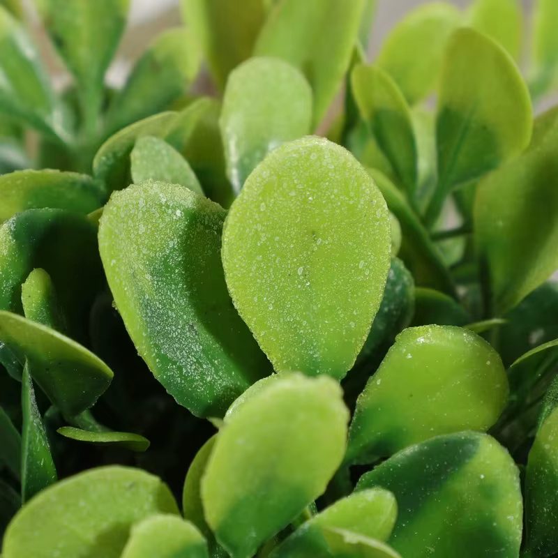 Plante en Pot petites fausses plantes