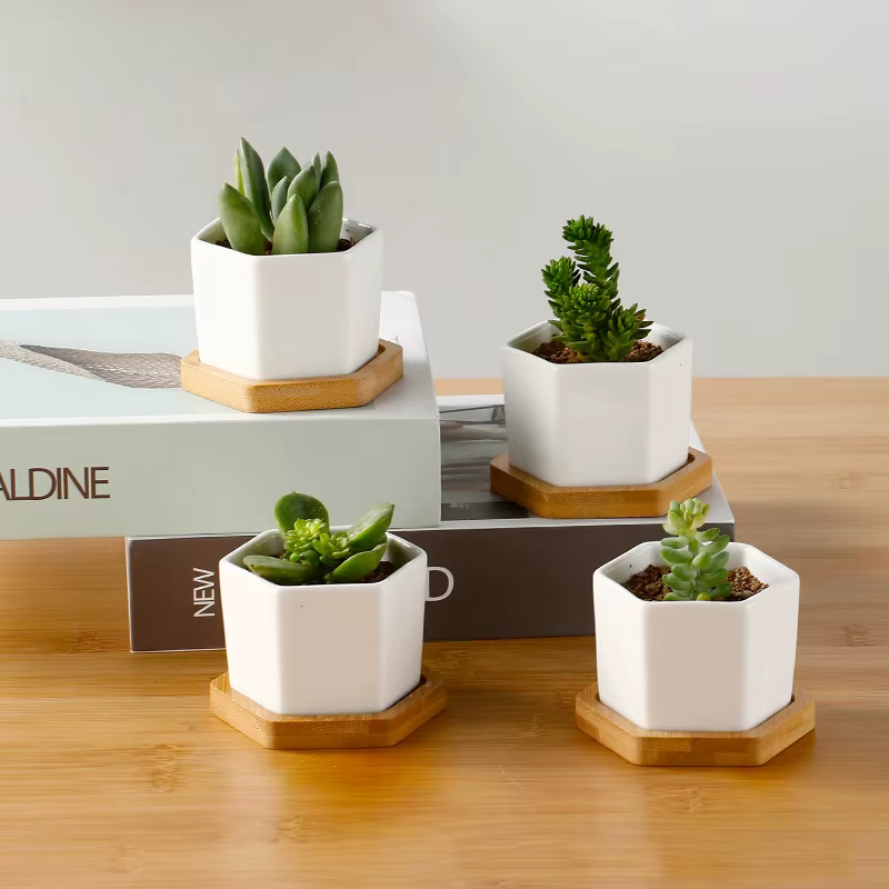 Pot de fleurs en céramique blanc hexagonal avec plateau