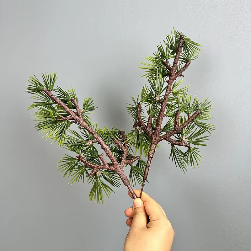 Simulation de branche de Podocarpus