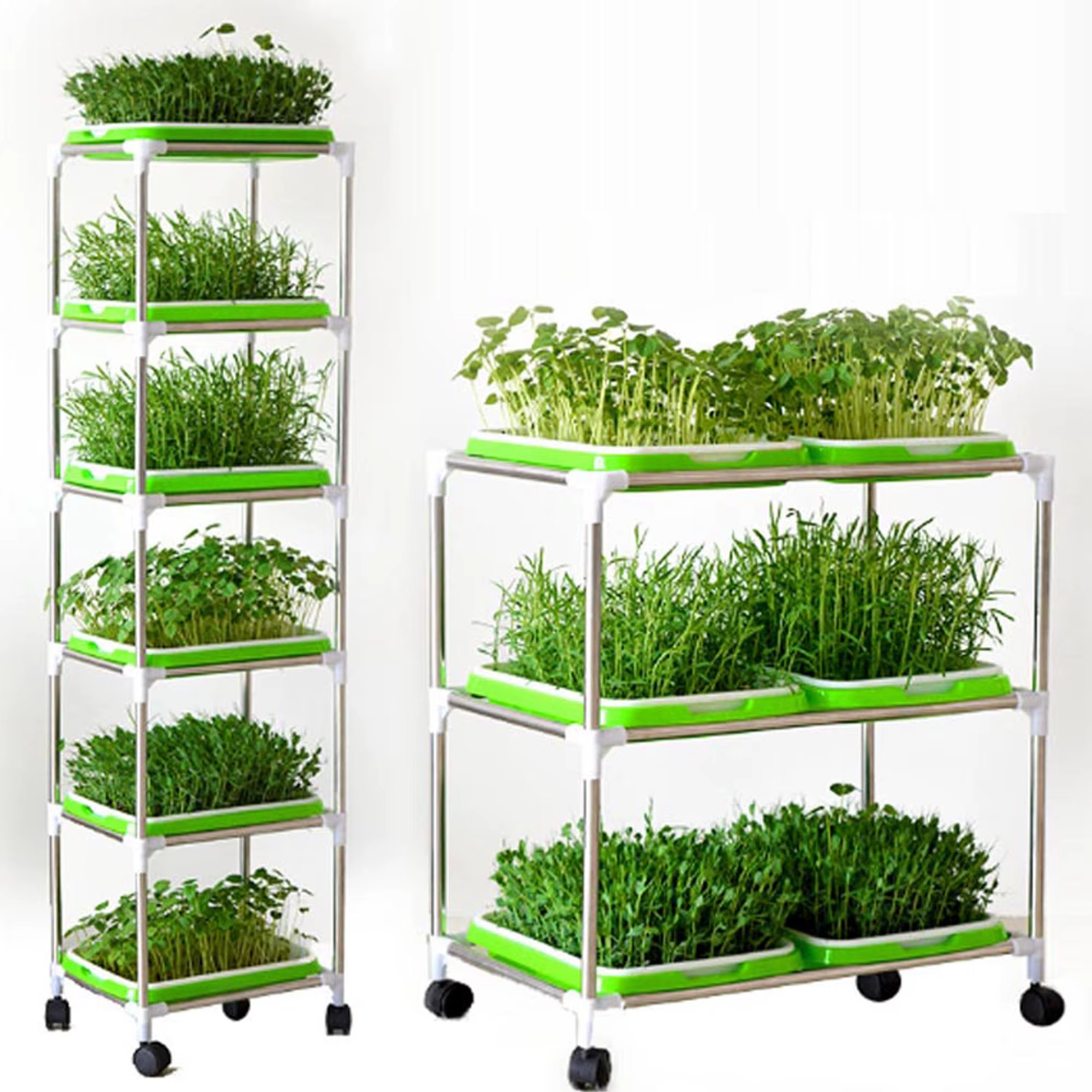 Kit de germination sans sol pour les cadres de germination