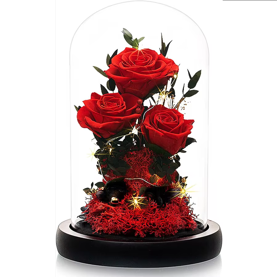 Fleurs de rose La Belle et la Bête pour la fête des mères