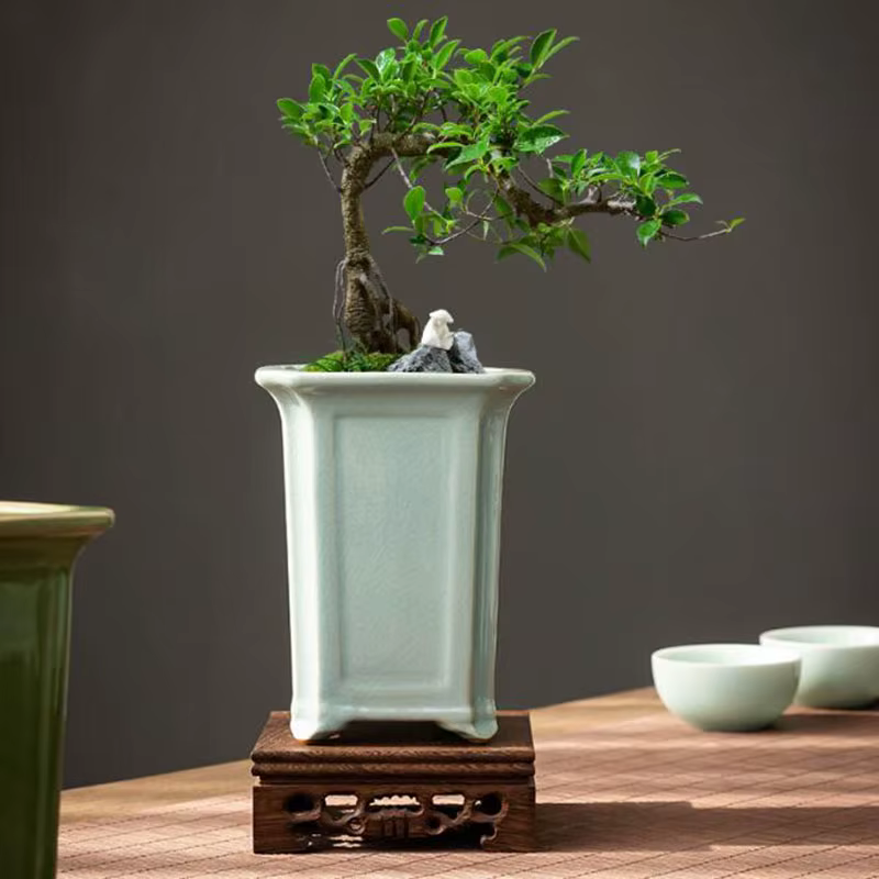Pot de plante orchidée de style chinois Geyao