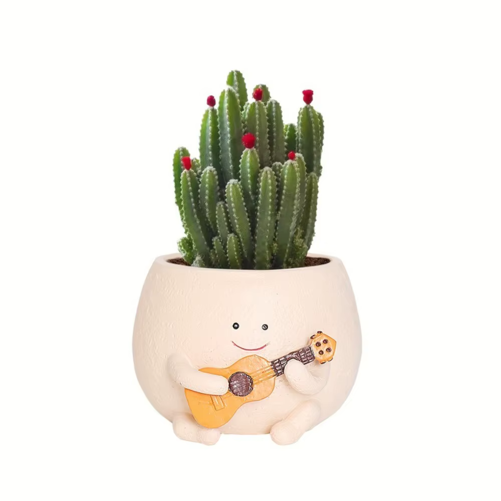 Pot de fleurs succulentes pour guitare