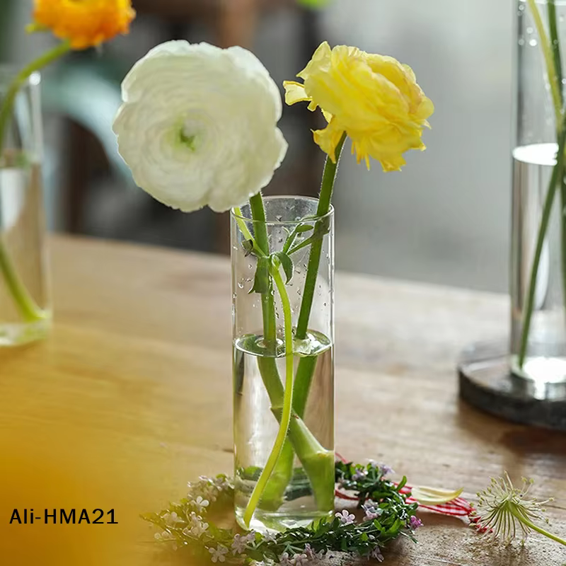 【H】Vase en verre pour plantes hydroponiques