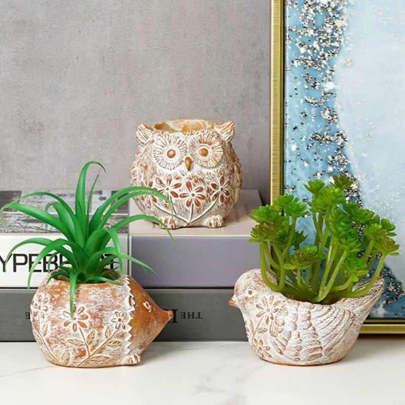 Pots plantes succulentes