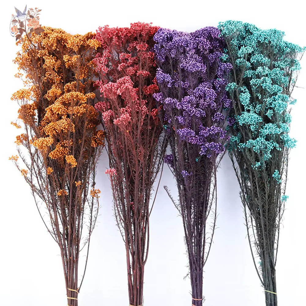 Bouquet de fleurs de Millet séchées naturelles