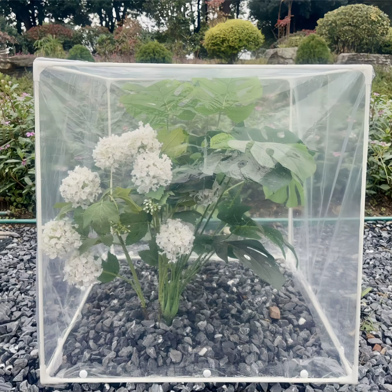 Mini serre pour extérieur et intérieur