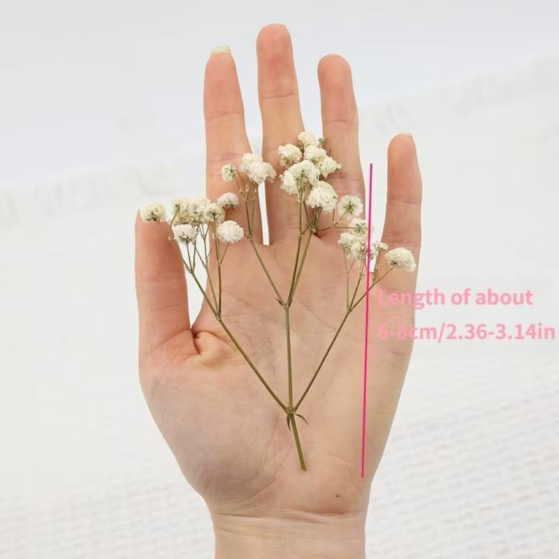 Paquet 50 fausses fleurs gypsophile séchées avec tiges vertes pour bouquets
