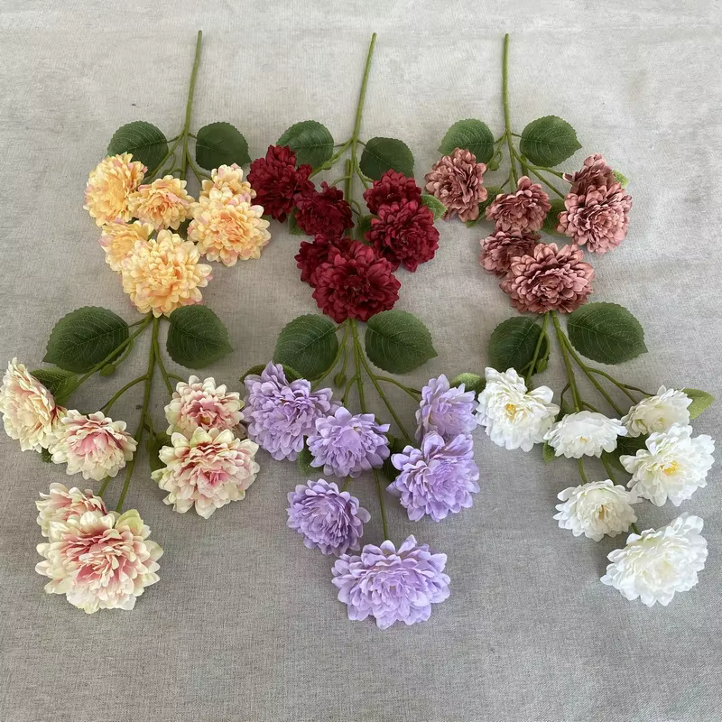 Simulation de branche de Cinerarias à 6 têtes
