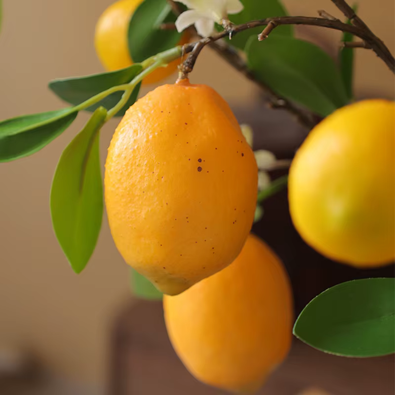 Citron jaune avec des fleurs blanches