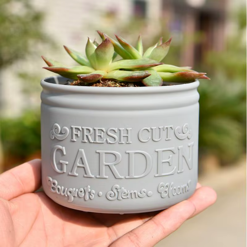 Pot de fleurs rond pour plantes succulentes