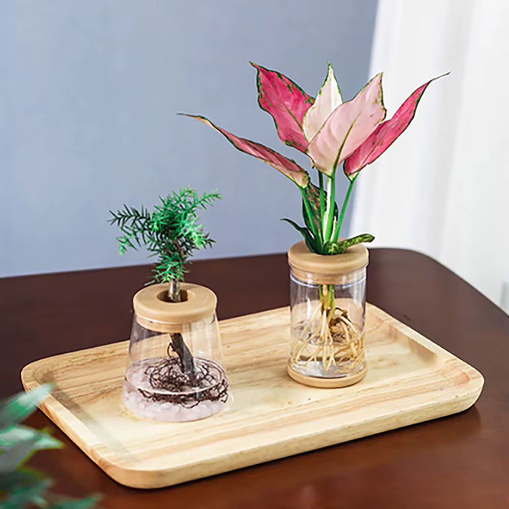 Pot de fleurs hydroponique en résine transparente imitation verre pour intérieur/extérieur