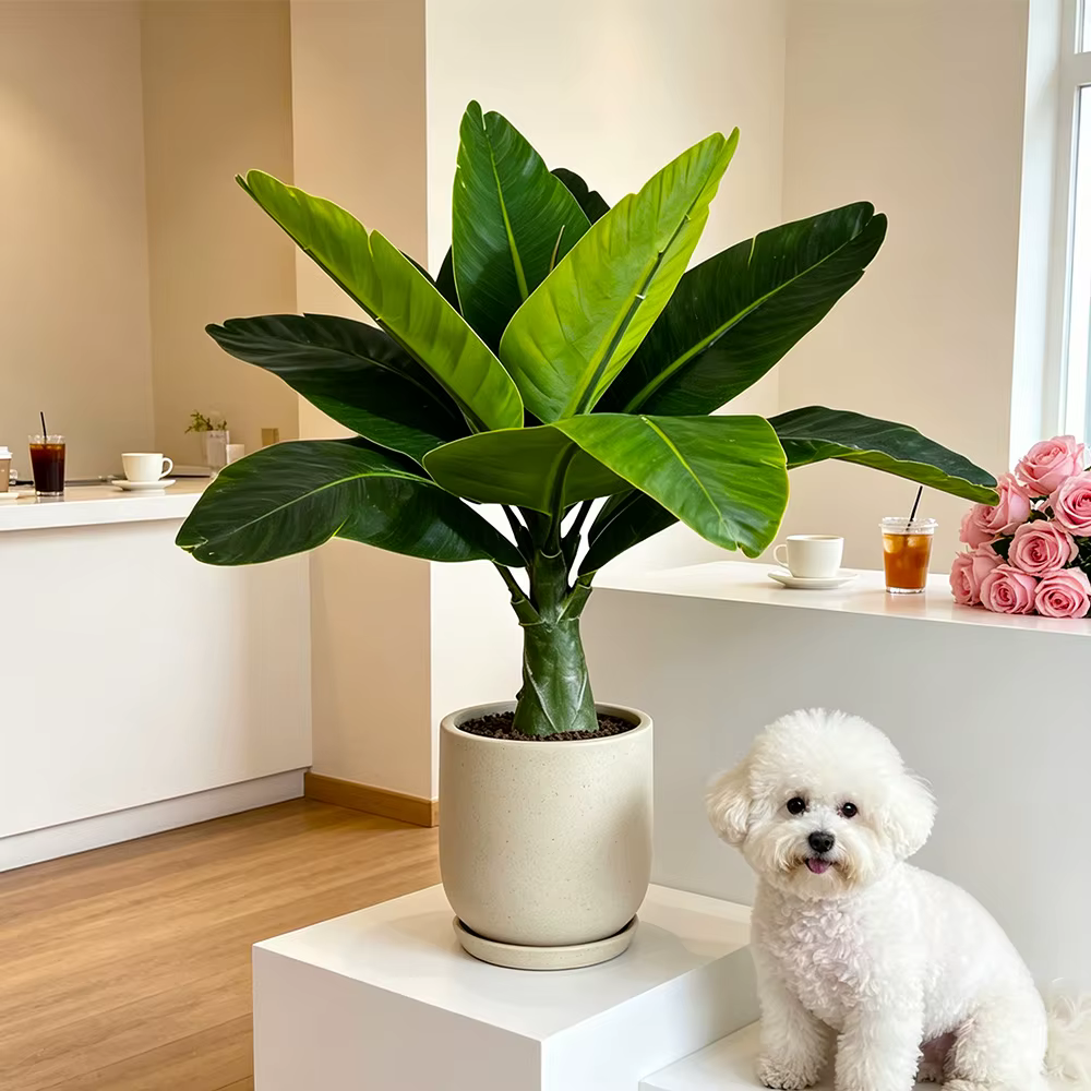 Plantes artificielles de bananiers 37/40 cm