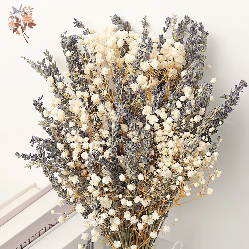 Bouquet de fleurs séchées de lavande