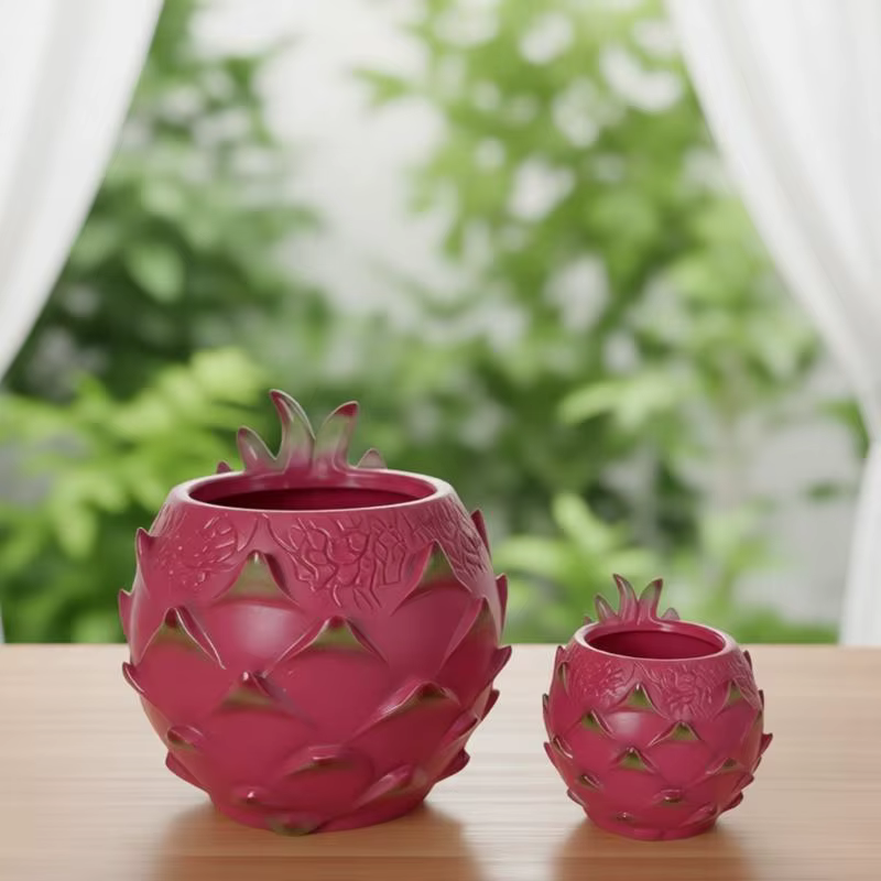 Pots plantes succulentes