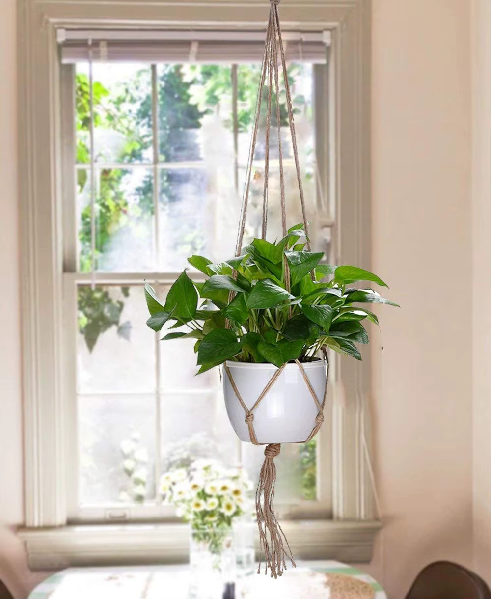 Plante suspendue en macramé faite à la main