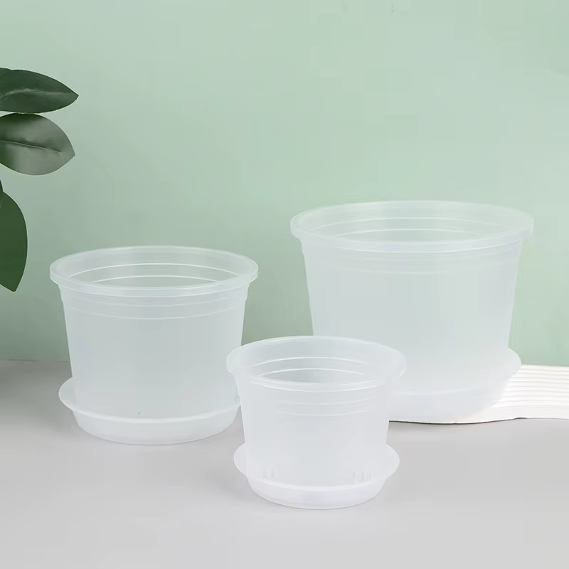 Pot d'orchidée rond Transparent avec/sans plateau