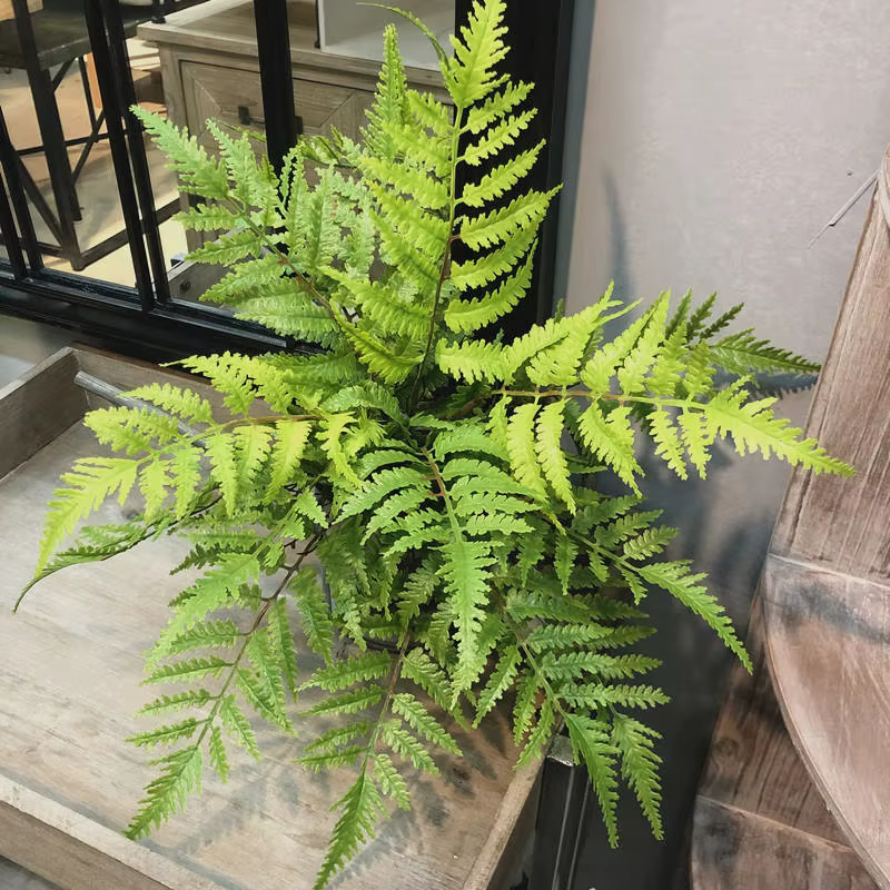 Plantes artificielles pour chambre à coucher