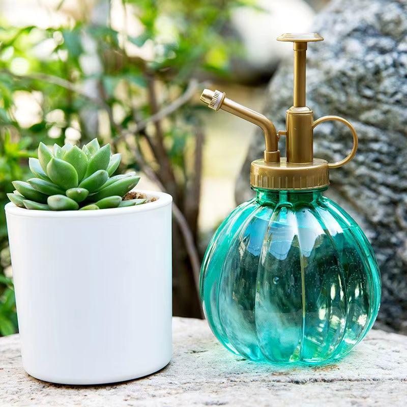 Arrosoir de jardin en verre pour plantes et fleurs