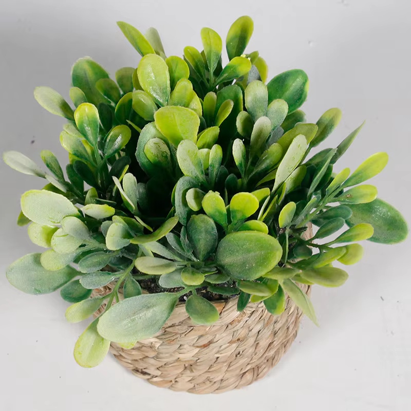 Plante artificielle verte en pot