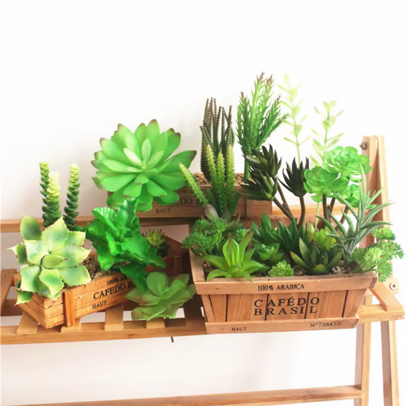 Petites plantes succulentes artificielles en PVC