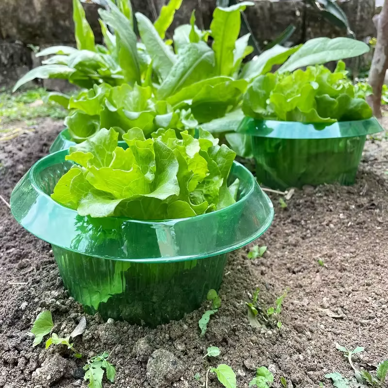 Plantes limace Protection anneaux légumes couverture plante escargot collier garde vert planteur Pot de fleur lutte antiparasitaire trappeur outil de jardin