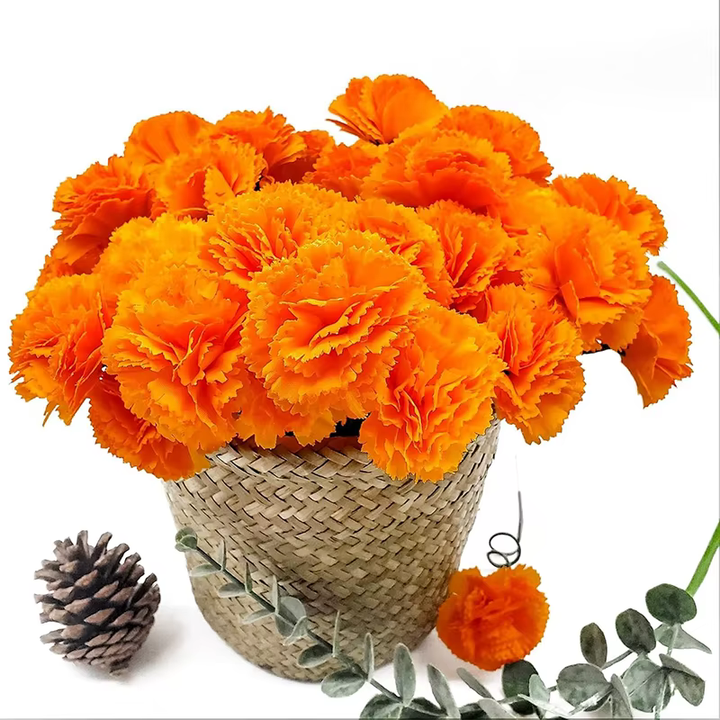 Têtes de fleurs de marguerite orange de 5cm