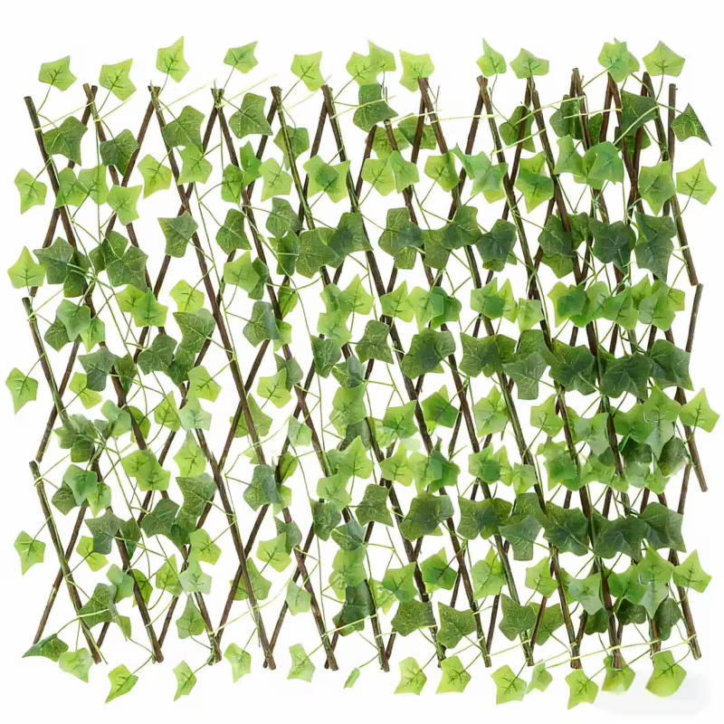 Structure de treillis télescopique en bois pour plantes grimpantes