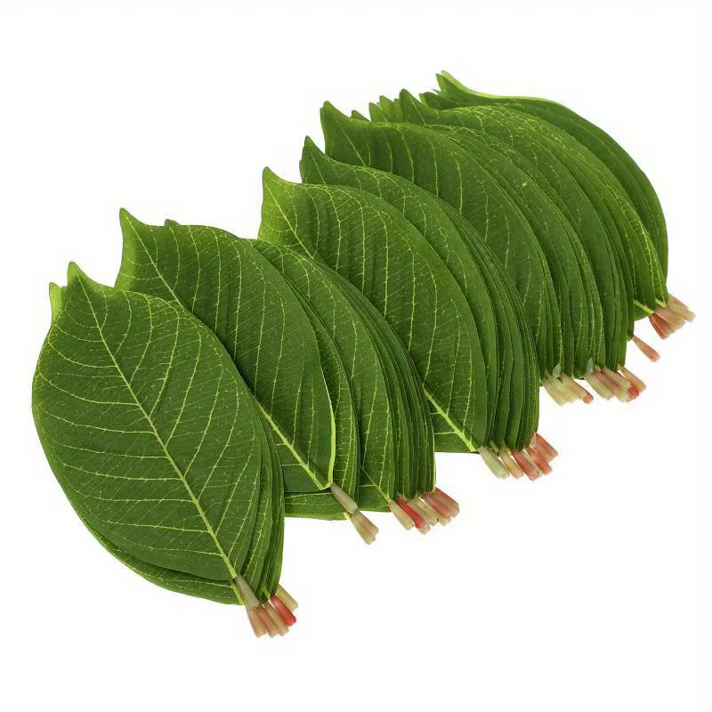 Ensemble de 20 feuilles de magnolia artificielles conçues pour les arrangements floraux