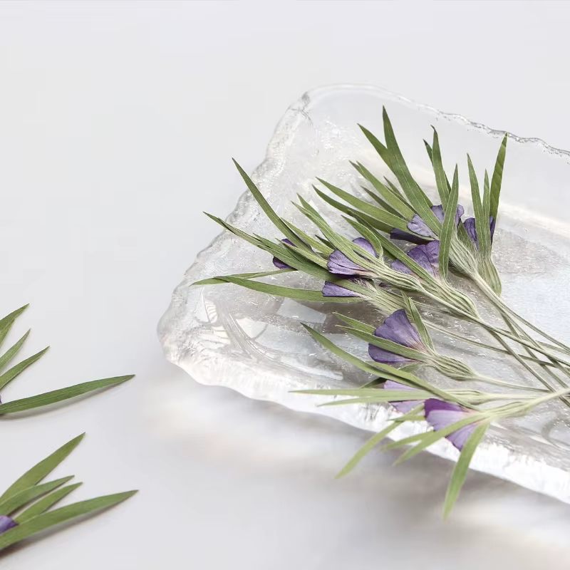 12 pièces, fleurs séchées naturelles d'Agrostemma Githigo pressées