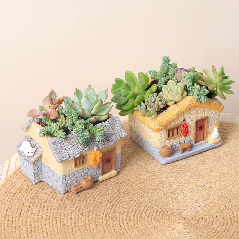 User inière de ferme vintage pour plantes à air succulentes