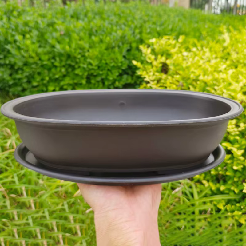 Plateau rectangulaire en plastique pour pots de bonsaï