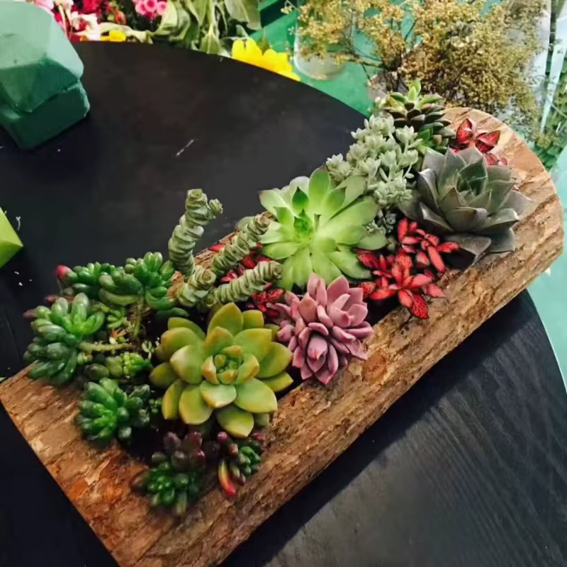 Jardinière succulente en bois – Boîte à fleurs murale rustique en bois massif