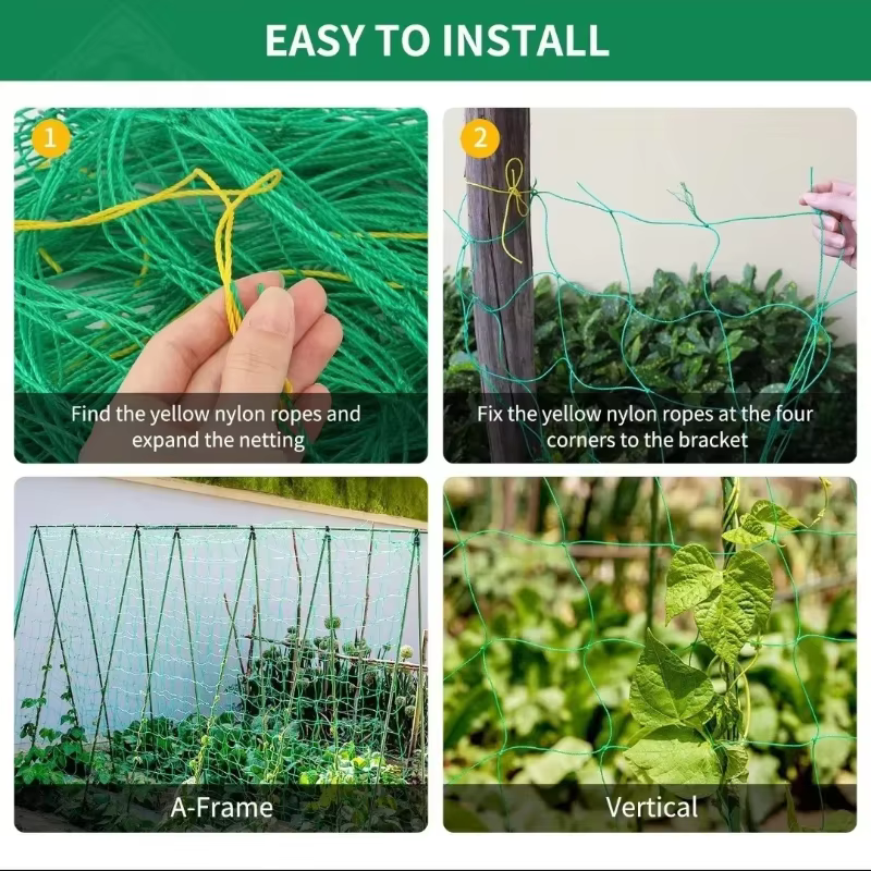 Pergolas à treillis pour plantes