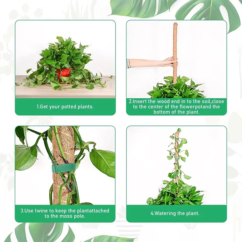 Échafaudage de plantes déformables