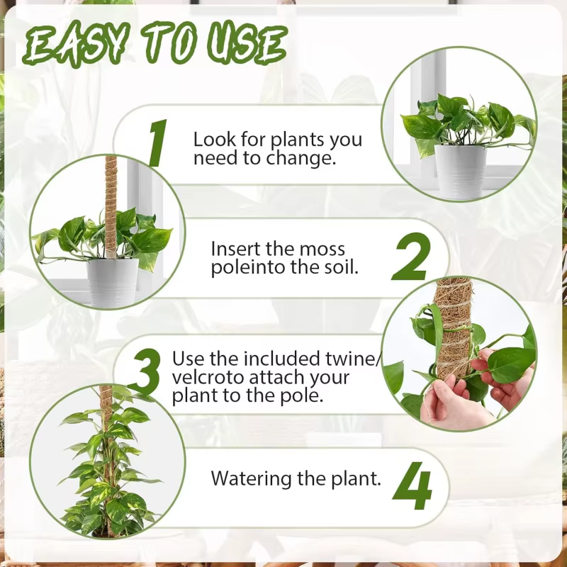 Support de plante grimpante en forme de bâton de palmier de coco